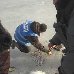 Пересчет любительского улова. Фото пресс-службы ВНИРО