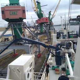 Разгрузка первого улова «Баренцева моря. Фото пресс-службы Мурманского морского рыбного порта