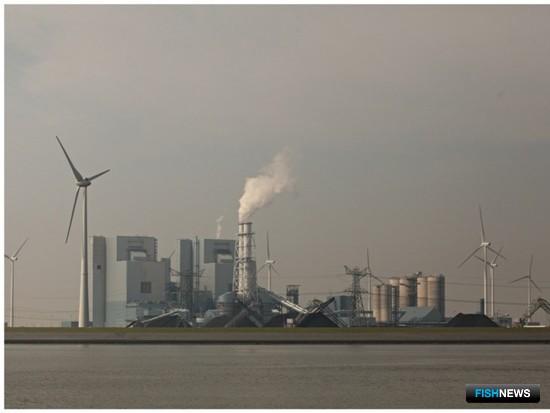 Берега Эмса представляют собой исключительно индустриальный пейзаж: заводы и бесчисленные ветроэнергетические установки. Фото Александра Кучерука.