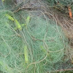 Сети для любительской рыбалки нужно регистрировать в теруправлении Росрыболовства. Архивное фото