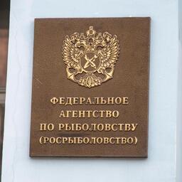 Росрыболовство распределило предприятиям объемы для промысла в нынешнем году по итогам апрельского аукциона