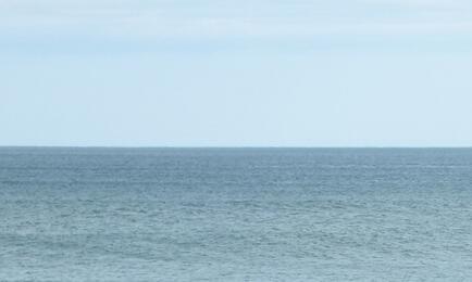 Росрыболовство внесло изменения в приказ о распределении по предприятиям квот в Дальневосточном бассейне на 2026 г. Архивное фото