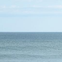 Росрыболовство внесло изменения в приказ о распределении по предприятиям квот в Дальневосточном бассейне на 2026 г. Архивное фото