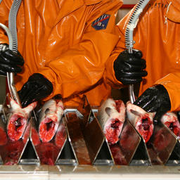 В сутки рыбоконсервный цех Озерновского РКЗ № 55 способен принимать на обработку до 500 тонн лосося. Фото предоставлено ОРКЗ № 55