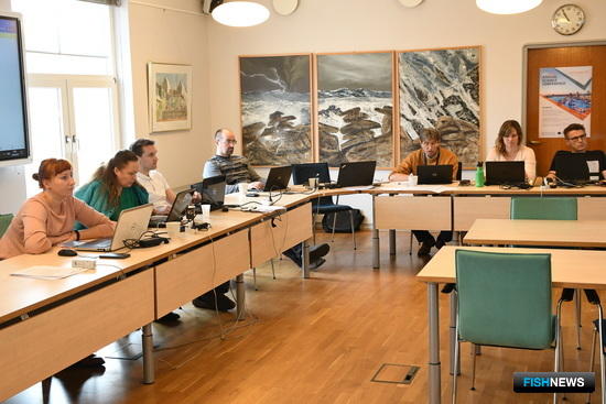 В Копенгагене прошли заседания Рабочей группы ИКЕС по оценке запасов рыб и рыболовства в Балтийском море (WGBFAS-2018). Фото пресс-службы АтлантНИРО