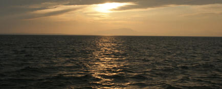 Концепция прибрежного рыболовства предполагает поддержку предприятий отрасли