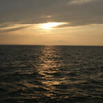 Концепция прибрежного рыболовства предполагает поддержку предприятий отрасли