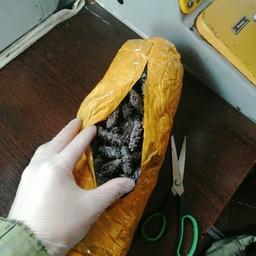 Свертки с трепангом нашли в тайниках в локомотиве. Фото пресс-группы Пограничного управления ФСБ России по Приморскому краю
