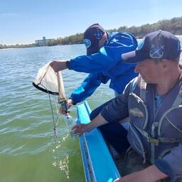 Сотрудники АзНИИРХ специально к съемке сконструировали и изготовили новый мальковый трал. Фото пресс-службы института