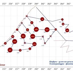 Районы обнаружения скоплений скумбрии НИС «ТИНРО» при выполнении поисковых работ 5-14 сентября. Изображение предоставлено пресс-службой филиала