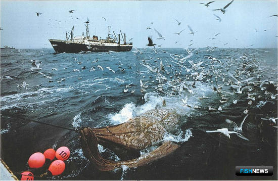 Американский траулер «Викинг» перевозит 20 тонн трески на советское судно «Надеждинск» в Беринговом море. Фото из архива MRCI.