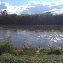 В реках обитает множество беспозвоночных, которые являются кормом для рыб. Архивное фото