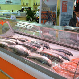 На выставке были представлены различные деликатесы из рыбы и морепродуктов