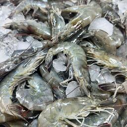 Главным экспортным товаром рыбной отрасли Вьетнама остается креветка. Архивное фото
