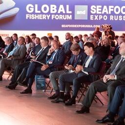 В прошлом году в Global Fishery Forum & Seafood Expo Russia приняли участие почти 18 тыс. человек из 85 регионов России и 75 зарубежных стран.