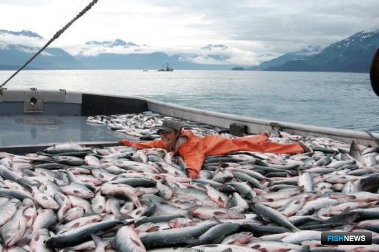 К 5 декабря российские рыбаки выловили 4,73 млн тонн водных биоресурсов, что на 6,2% выше уровня прошлого года. Фото пресс-службы Росрыболовства