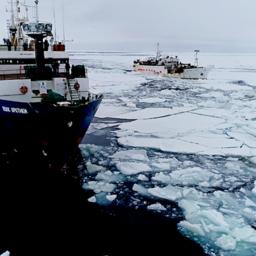 Ярусолов «Волк Арктики» идет через льды. Фото пресс-службы АзНИИРХ