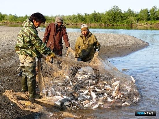 Представители КМНС ловят рыбу на Камчатке. Фото kamchat.info