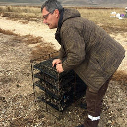 Подготовка к установке экспериментального садка для выращивания моллюсков. Фото пресс-службы АзНИИРХ