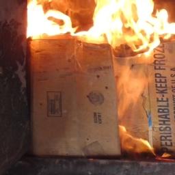 206 кг санкционной икры сожгли в Белгородской области. Фото пресс-службы Россельхознадзора