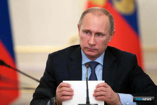 Президент России Владимир ПУТИН. Фото с личного сайта главы государства