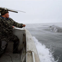 Квоты серых китов получили 11 общин Чукотки. Фото пресс-службы правительства ЧАО