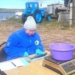 Специалисты Байкальского филиала ВНИРО в августе-октябре провели учет численности производителей омуля. Фото пресс-службы института