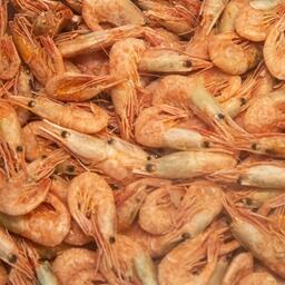 Варено-мороженая северная креветка