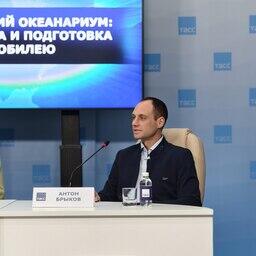 Руководитель службы по работе с морскими млекопитающими Антон БРЫКОВ