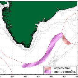Сезонное распределение промысла морского окуня-клювача в море Ирмингера и прилежащих водах. Схема предоставлена АтлантНИРО