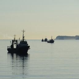 Услуги Росрыболовства переходят на проактивный формат