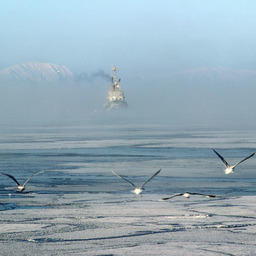 МРС ведет зимний лов у берегов Сахалина