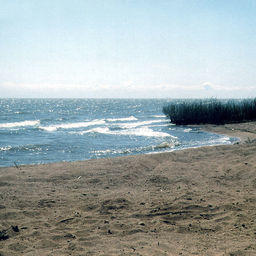 Озеро Ханка. Фото из «Википедии»