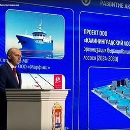 В Калининградской области рыбная отрасль будет одной из приоритетных, заявил губернатор Алексей БЕСПРОЗВАННЫХ. Скриншот видеотрансляции