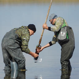 Ученые мониторят запасы рачков и мотыля за Уралом. Фото пресс-службы Госрыбцентра