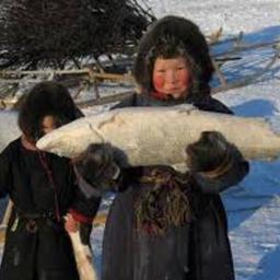Рыбаки Якутии получили объемы для промышленного и любительского лова. Фото пресс-службы регионального министерства экологии, природопользования и лесного хозяйства