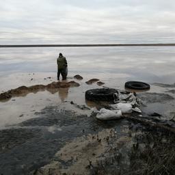 Почти 400 кг цист артемии вернули в озеро Горькое. Фото пресс-службы Верхнеобского теруправления Росрыболовства