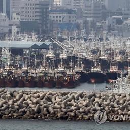 Южнокорейский промысловый флот в порту Пусан. Фото информагентства «Рёнхап»