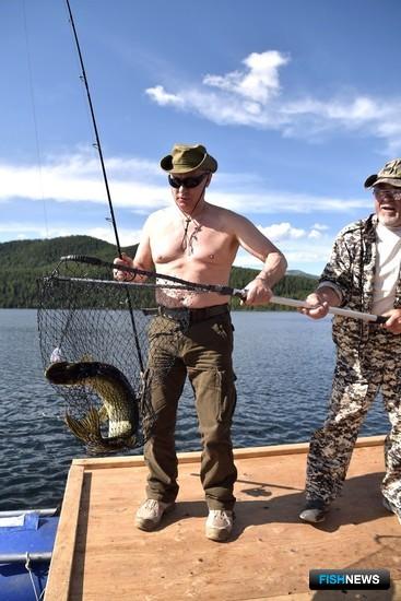 На отдыхе в Республике Тыва глава государства Владимир ПУТИН занялся подводной охотой и рыбалкой на каскаде горных озер. Фото пресс-службы президента