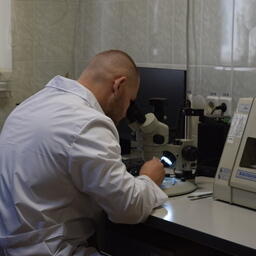Эксперт изучает полученный образец под микроскопом