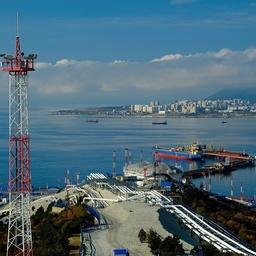 Полигон с морской живностью планируют построить в порту Новороссийска. Фото пресс-службы краевой администрации