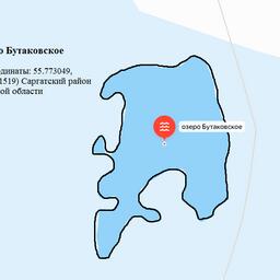 Один из лотов — озеро Бутаковское в Саргатском районе. Изображение из документации торгов.