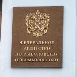 Росрыболовство объявило о подготовке и заключении на 2026 г. договоров пользования водными биоресурсами, общих допустимый улов которых не устанавливается, в районах регулирования НЕАФК и НАФО