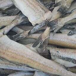 Правительство включило рыбную продукцию в перечень товаров, по которым нужно будет предоставлять на биржу данные о внебиржевых сделках