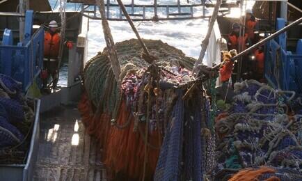 Рыбный промысел на Дальнем Востоке. Фото предоставлено «Океанрыбфлотом»