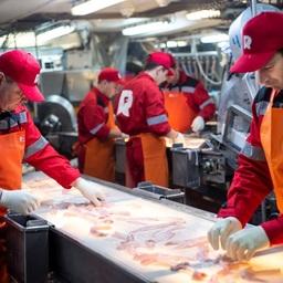 Производство филе минтая «Русской рыбопромышленной компании». Фото пресс-службы РРПК