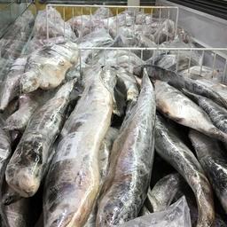 Предполагается обязать правительство устанавливать предельно допустимые цены в рознице при резком удорожании – в том числе на мороженую неразделанную рыбу
