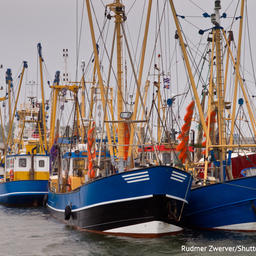 Рыбакам Европы помогут справиться с последствиями пандемии коронавируса. Фото предоставлено пресс-службой ЕС