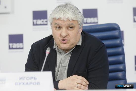 Президент Федерации рестораторов и отельеров России Игорь БУХАРОВ. Фото ТАСС