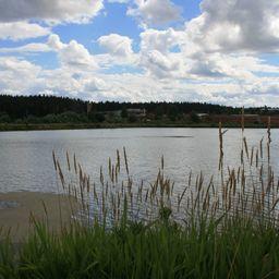Природный парк «Шаркан» – одна из удмуртских ООПТ регионального значения. Фото с экологического портала республики